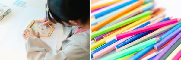 Art Bee colored pencil art program