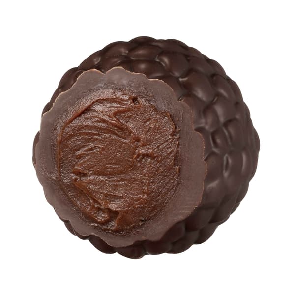 松露肉桂香草横截面