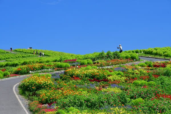 Welcome Garden at Hitachi Seaside Park