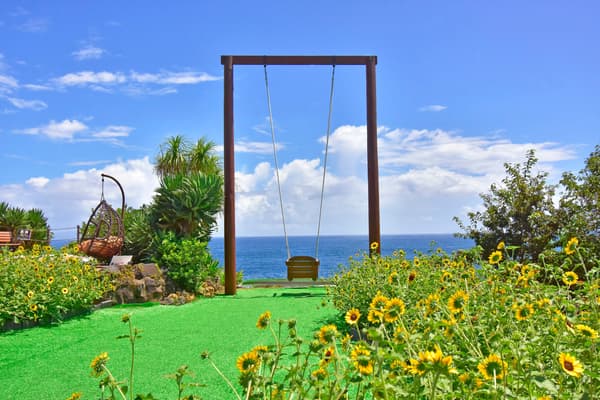 APOLLON sunflowers blooming in the swing area
