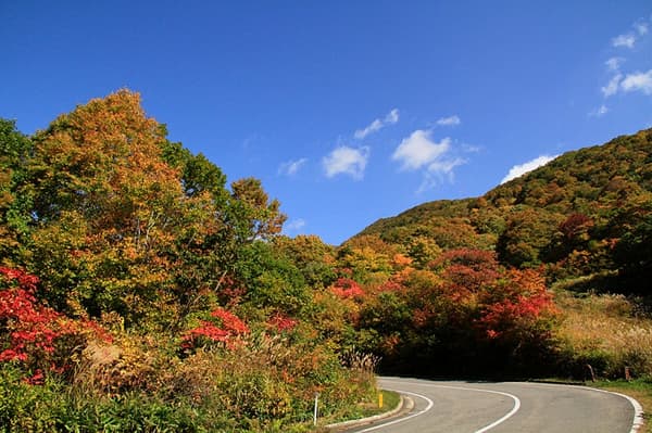 가을 호수 풍경이 있는 산악 도로