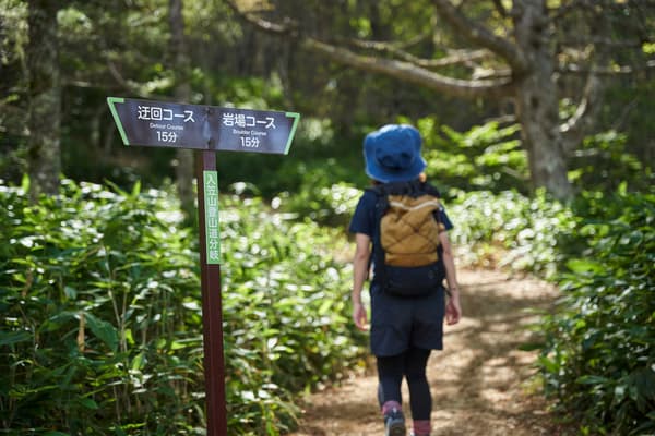 Una ruta de senderismo sencilla de aproximadamente 1 hora desde la estación superior del telecabina
