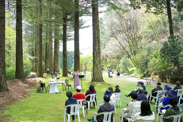 森林音乐会（往届活动照片）