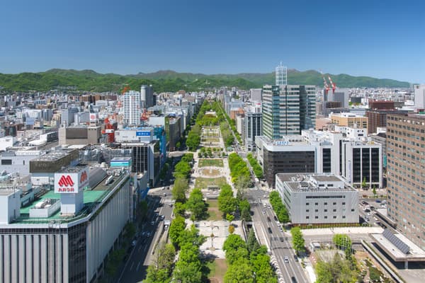 Odori Park view from Sapporo TV Tower