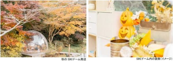 SIKI Dome Forest Library