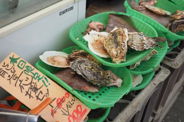 Tiram, kerang simping, dan kerang lainnya dalam keranjang
