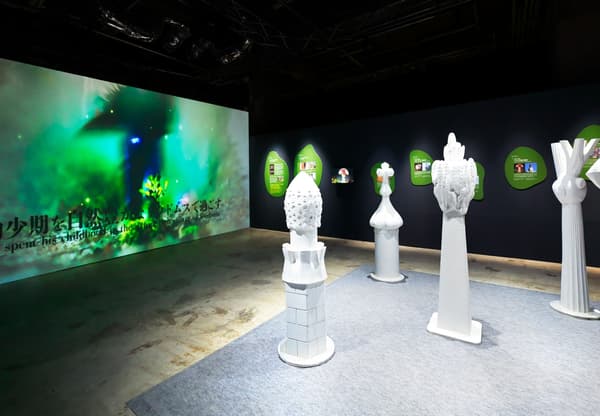 区域 2 标题：记忆森林