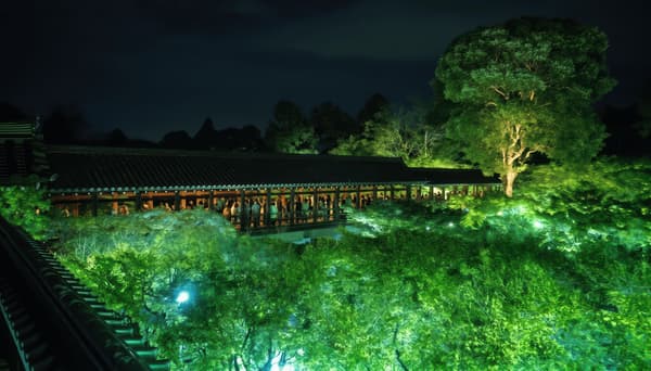 Puente Tsuten