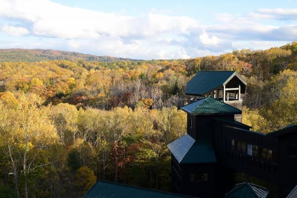 Takino Forest Zone East Area (photographed October 20, 2025)