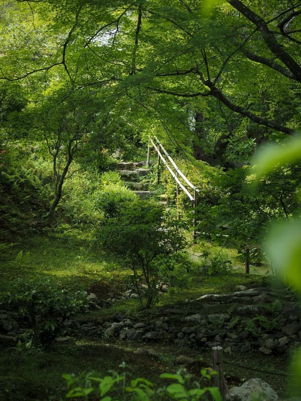 Temple grounds in fresh greenery season