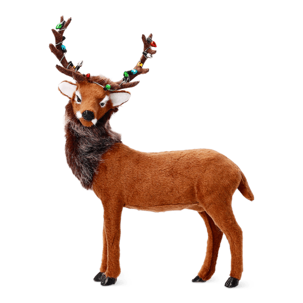Reindeer M