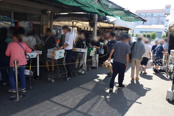Se forman largas filas en un puesto de venta directa en Saitama durante la temporada alta de peras