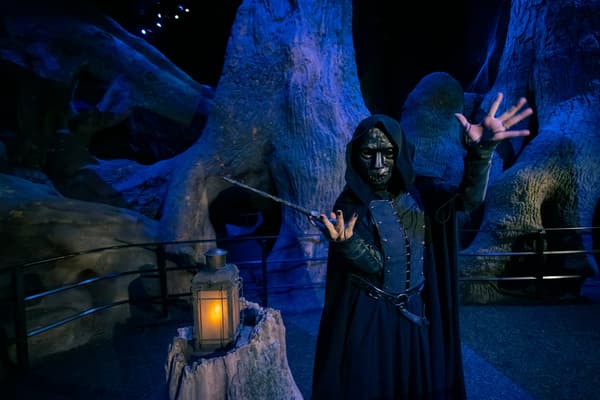 Death Eaters gather in the Forbidden Forest