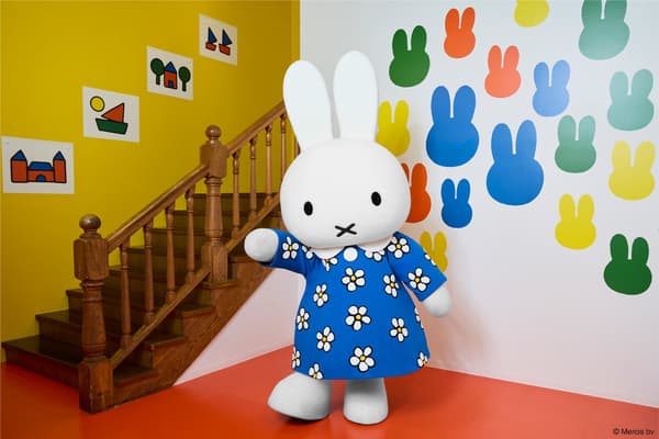 米菲兔生日裙打招呼活动