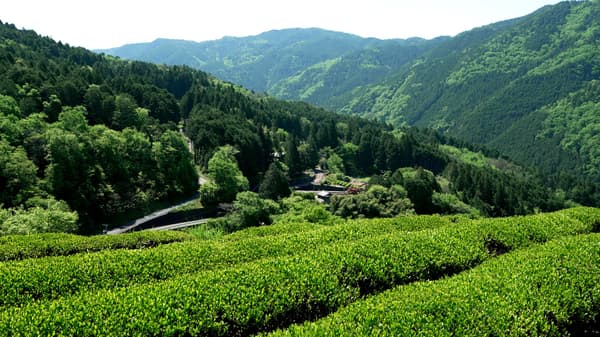 Mino-Shirakawa, Gifu Prefecture