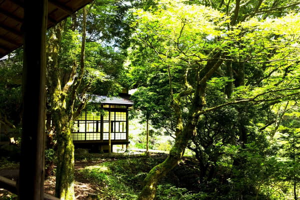 Koniwa bonsai workshop