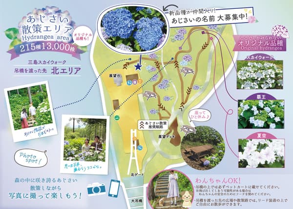 수국 산책 지도