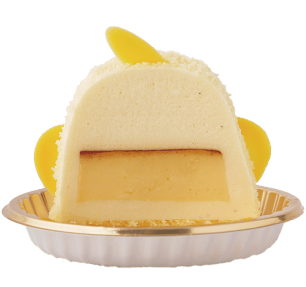 병아리 푸딩 매장