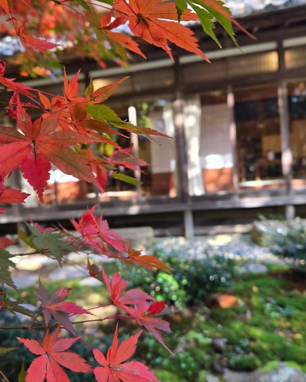 Hojas de otoño frente a un edificio en Kaga Iryokuen