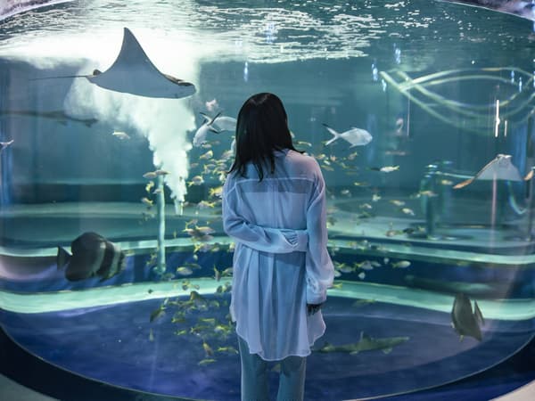 AQUARIUM×ART átoa