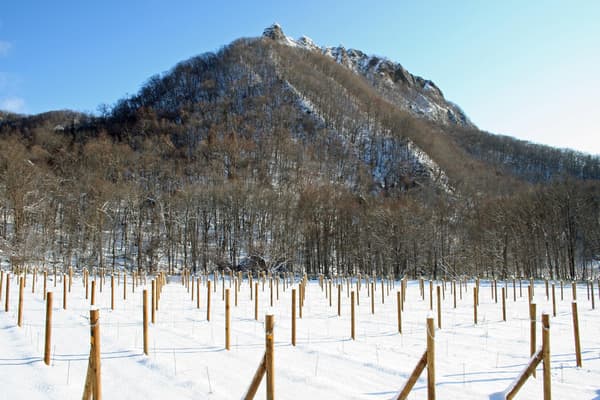 冬天里的八剑山