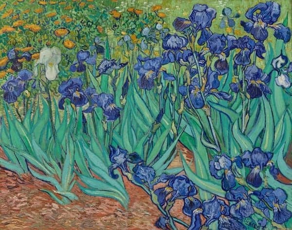 Vincent van Gogh, Lirios