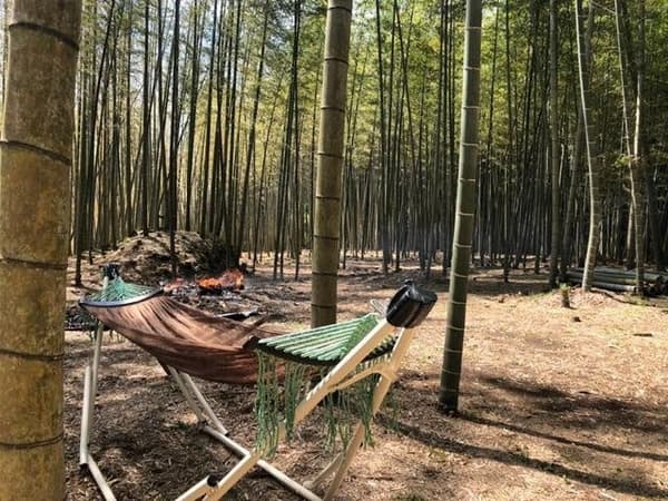 BAMBOO BASE KATSUURA의 캠핑 사이트