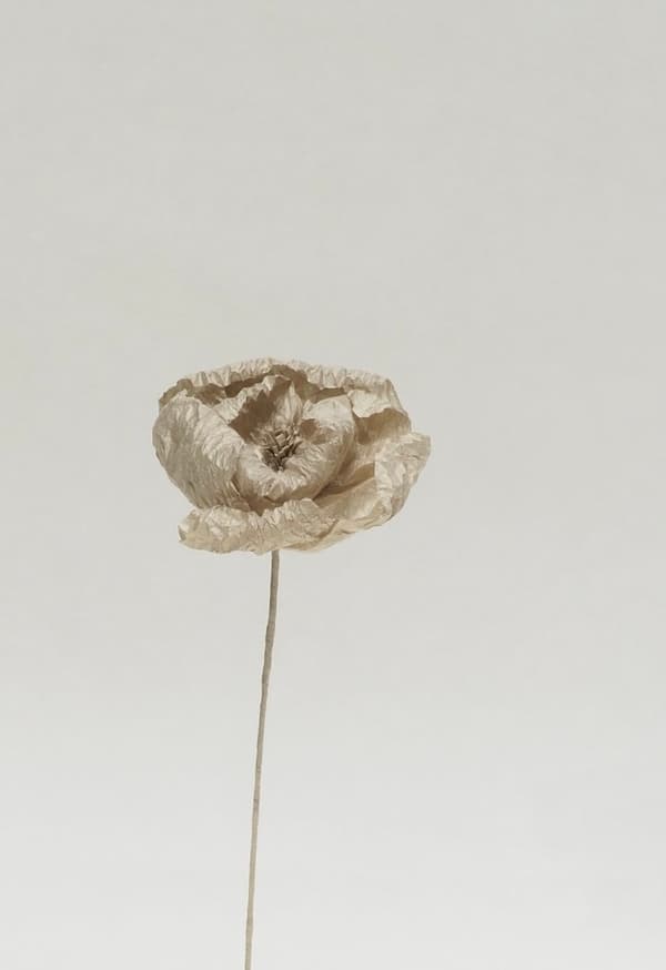 Hananowa (Palm Flower)