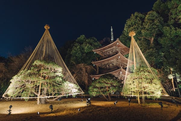 花園裡的防雪燈飾