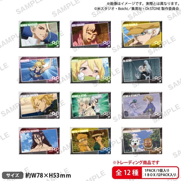 Dr. Stone Trading Square Can Badge