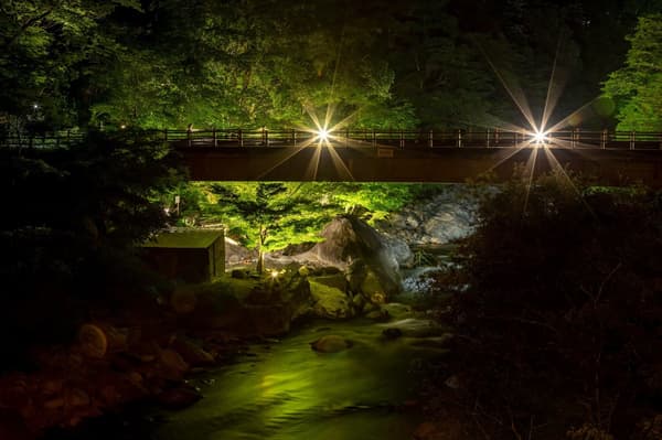 Illuminated fresh greenery at Shin-Hotaka no Yu
