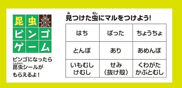昆虫宾果卡