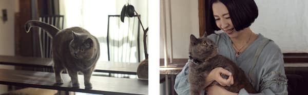 MOCK 2026 产品阵容