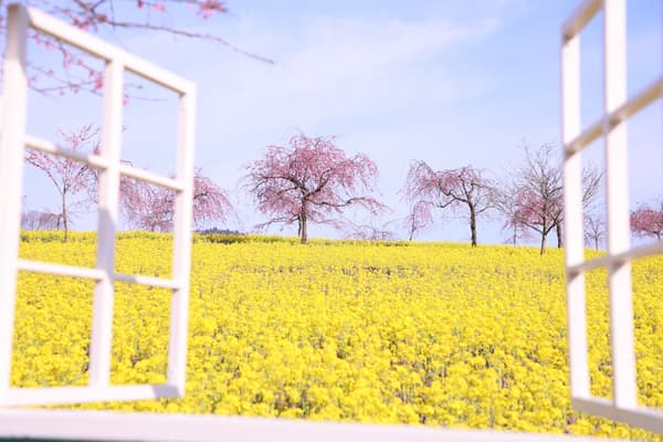 Punto fotográfico (fotografiado el 3 de abril de 2026)