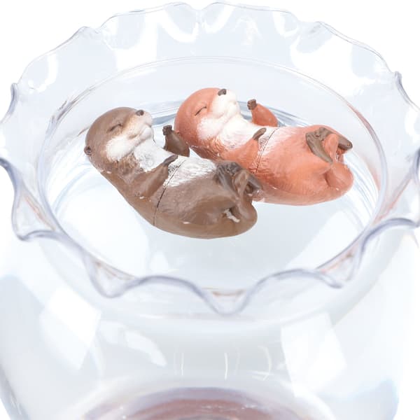 昏昏欲睡的小水獺使用圖片