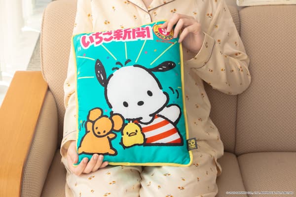 Pochacco cushion
