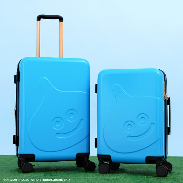 Carry Case M