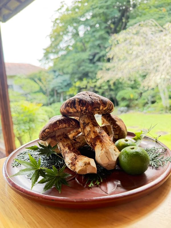 Matsutake emplatado con el jardín de fondo