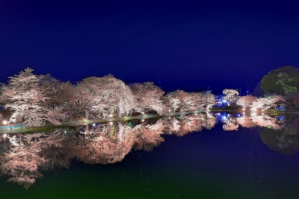 臥龍公園停車和交通