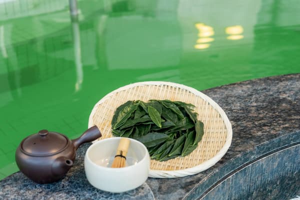 Sayama tea bath at Ofuro Cafe Utatane