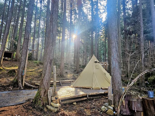 Forenta usage examples