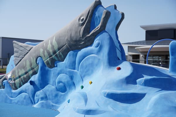 Salmon-themed toddler playground equipment