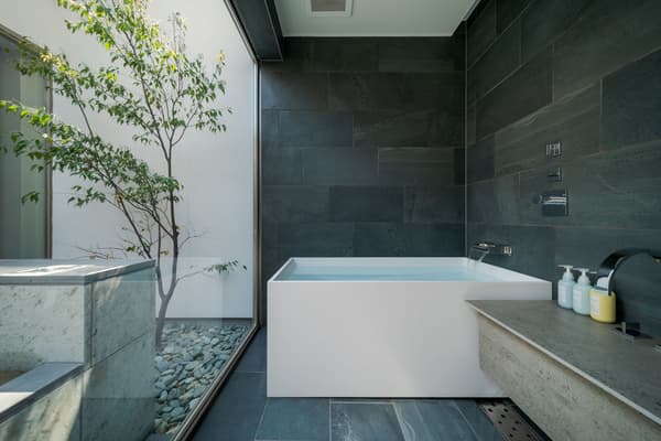 Hot spring bath view