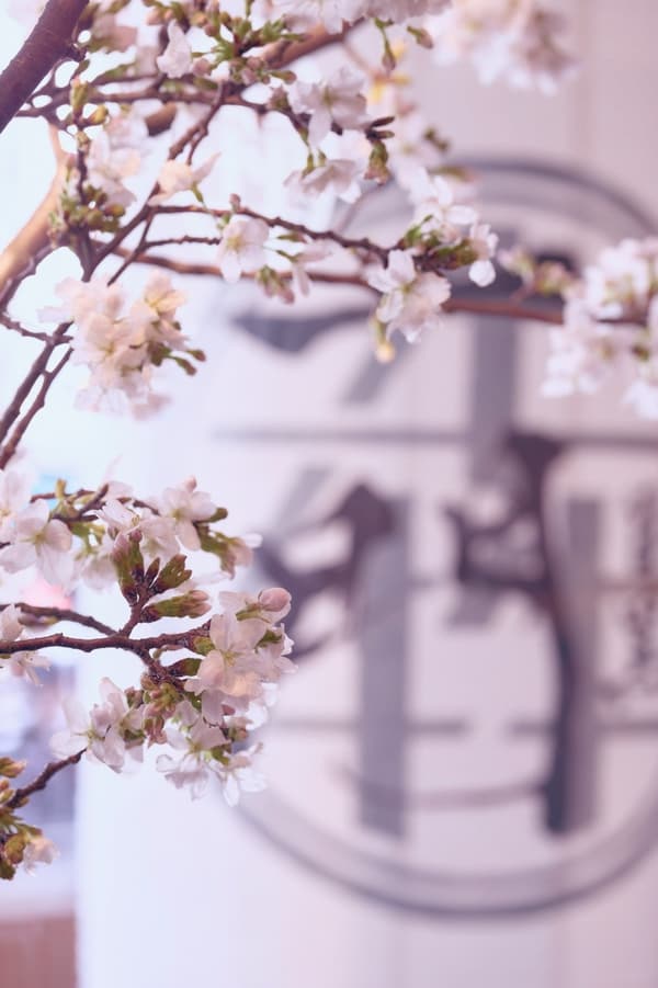 时令花卉布置——春季