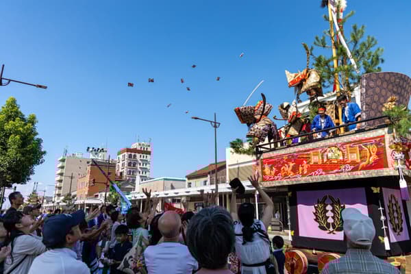 受欢迎的落雁糖果投掷