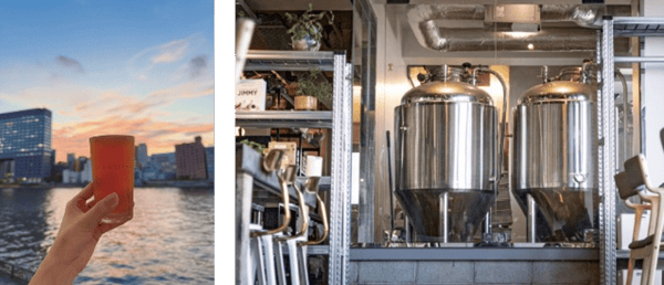 DAWN BREWS