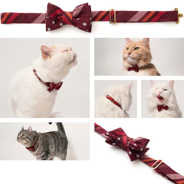 波尔多优雅细节