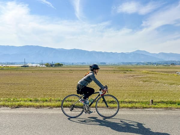 Cycling through the sakura corridor