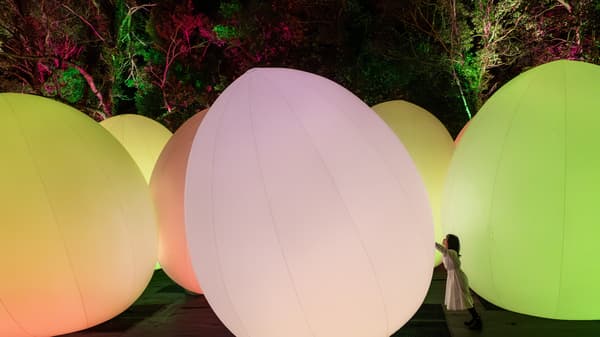 teamLab，独立共鸣的生命之森