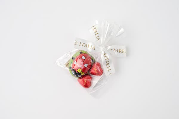 Ladybug and Mini Heart Set